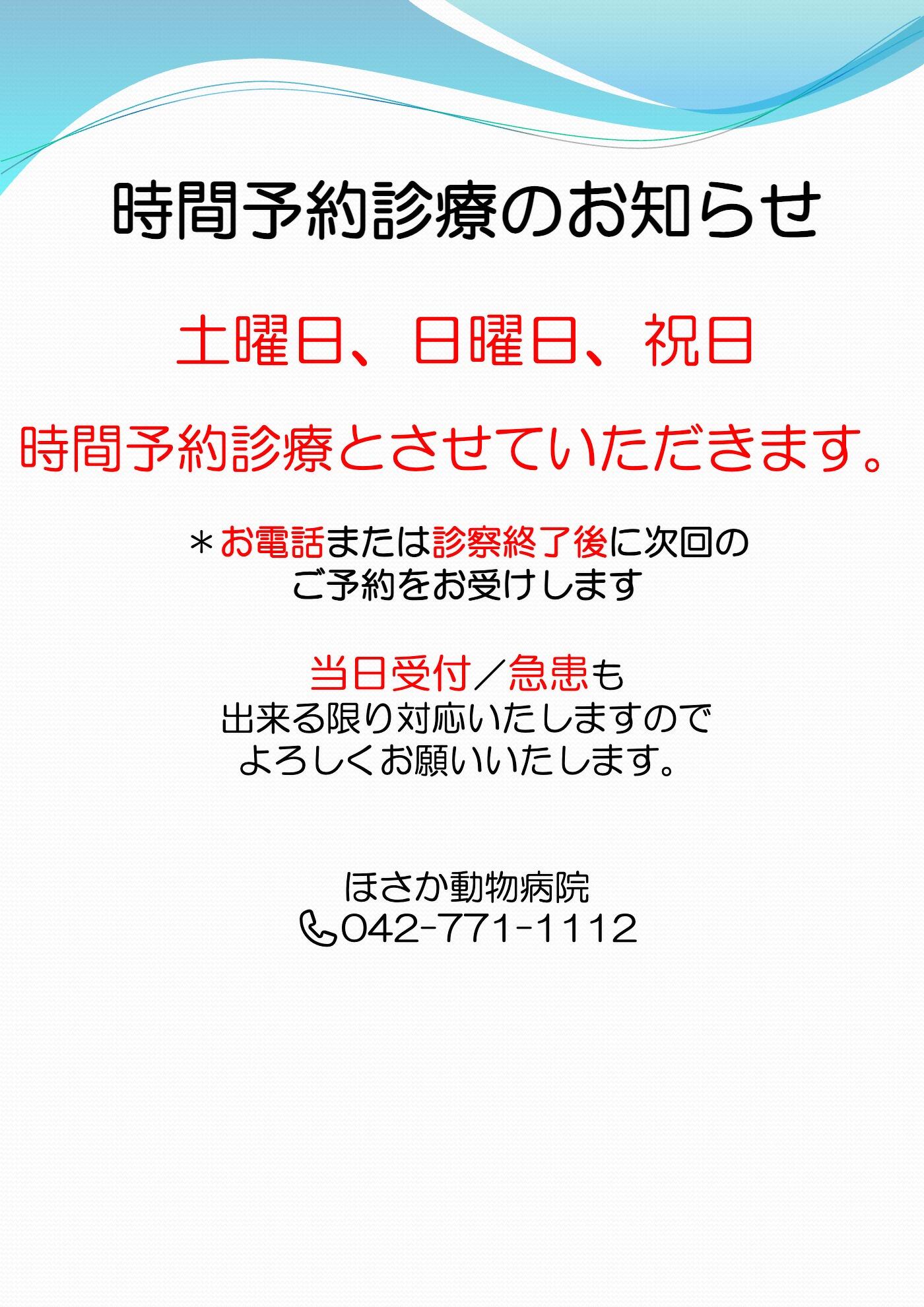 土曜日、日曜日、祝日の時間予約診療について　ＰＤＦファイル
