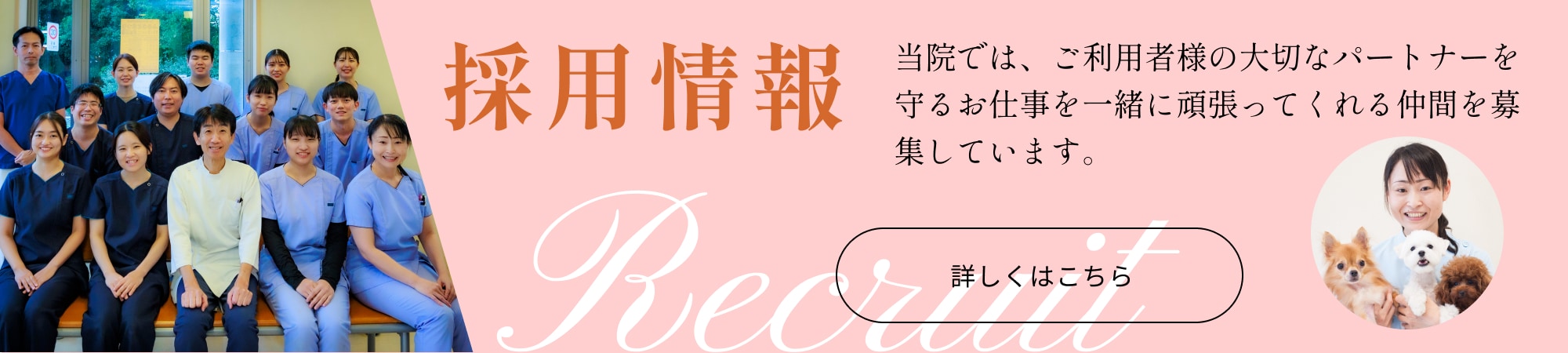 採用情報